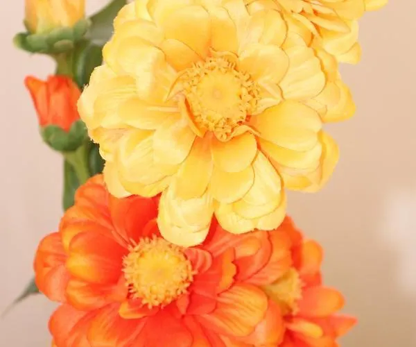 Flowers Apart Otel
