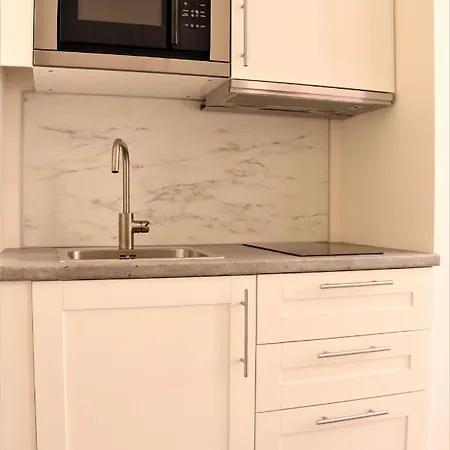 شقة فندقية Flowers 4*