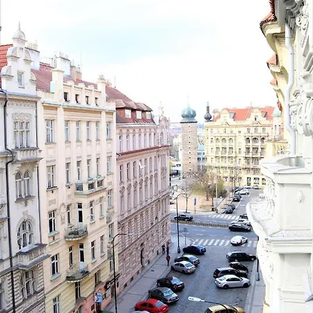 Flowers Praag