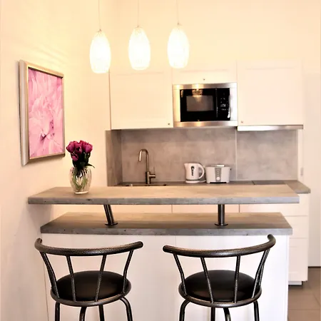 شقة فندقية Flowers