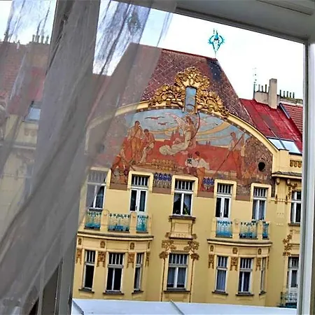 Flowers Prag
