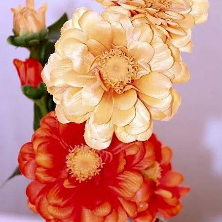 מלון דירות Flowers פראג