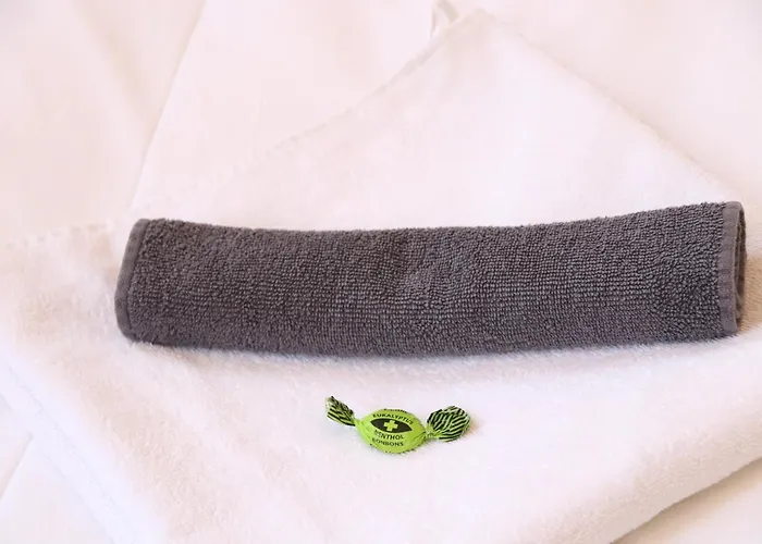 Aparthotel Flowers 4*