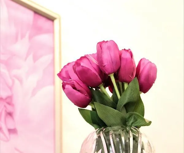 Hotel apartamentowy Flowers Praga