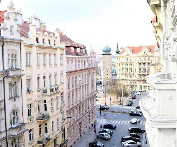 Flowers Praga