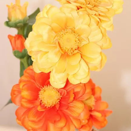 Flowers Ξενοδοχείο με διαμερίσματα